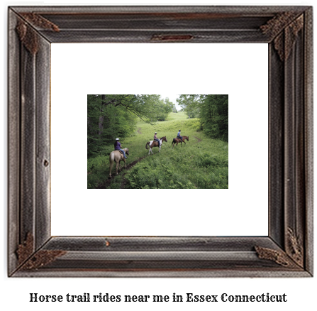 horse trail rides near me in Essex, Connecticut